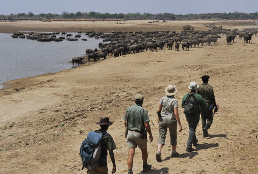 Zambia Reisvoorbeelden